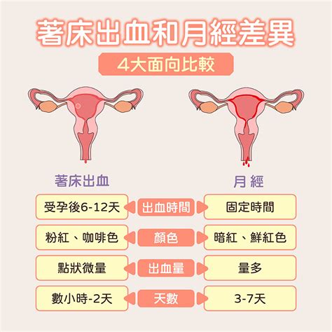 著床|著床性出血會有流產風險嗎？懷孕著床出血就從顏色、。